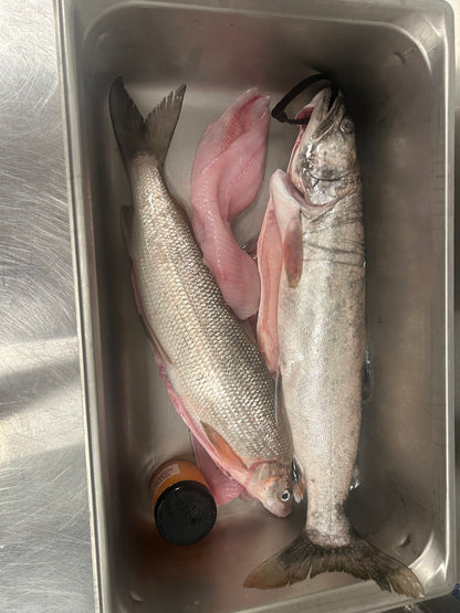 Whole Lake Superior White Fish (dressed)