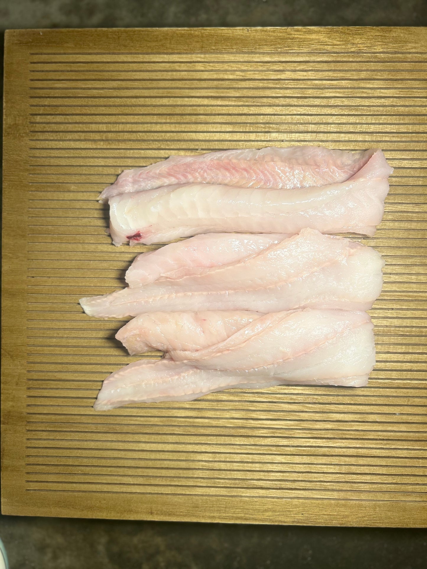 Lake Superior Burbot loins