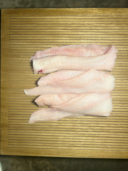 Lake Superior Burbot loins