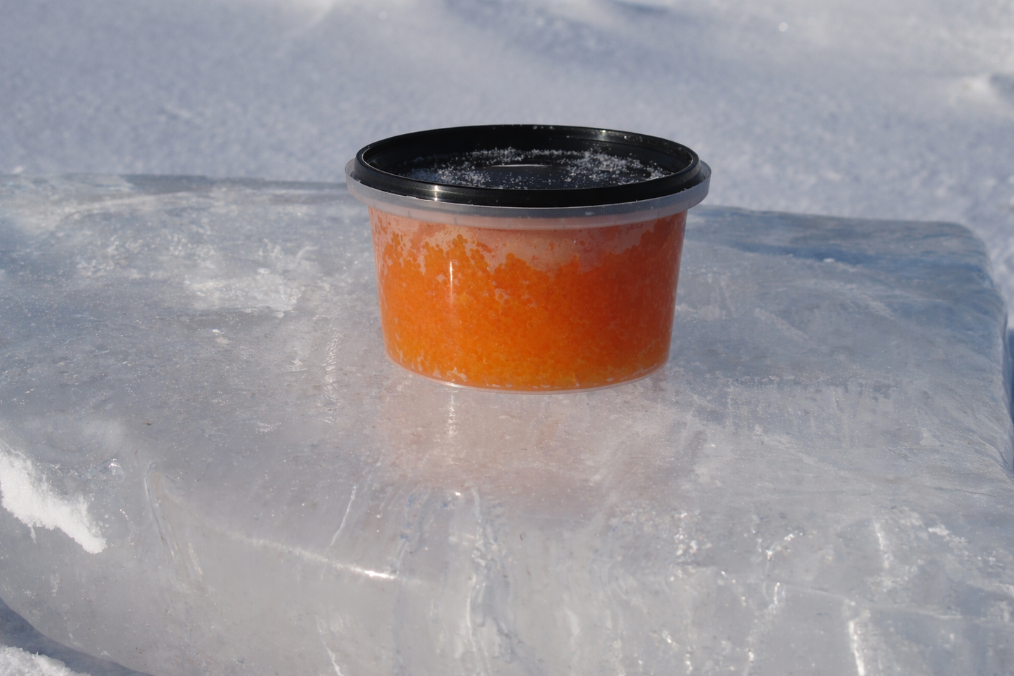 Lake Superior Whitefish Caviar